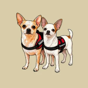 Zeichnung von 2 Chihuahua-Hunden mit Kennzeichnung Hundetherapie